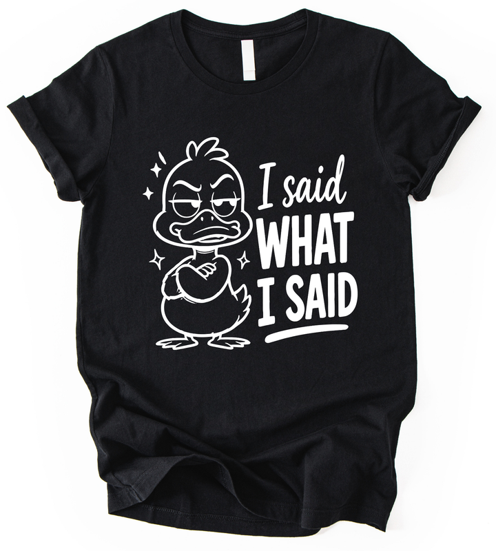 I Said What T-Shirt alternate view
