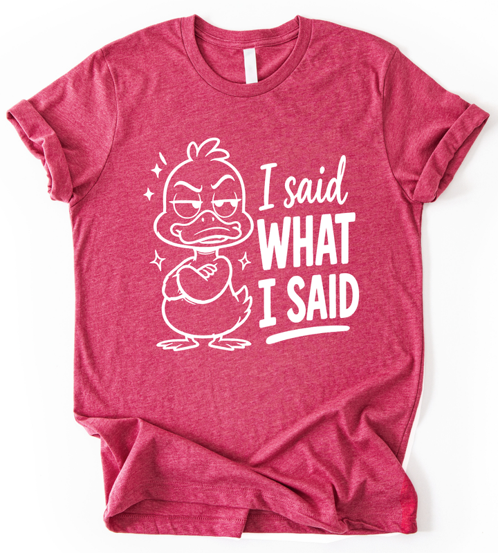 I Said What T-Shirt